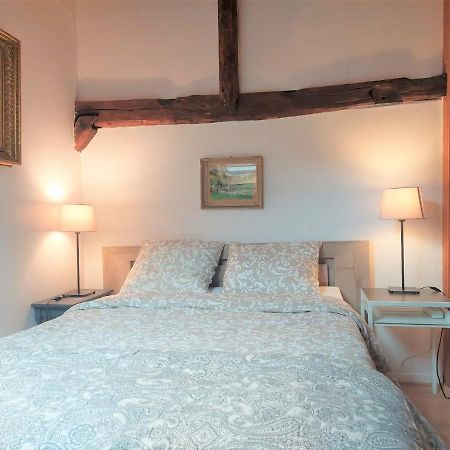 Chalet Charm In The Heart Of The Old Town Аннесі Екстер'єр фото