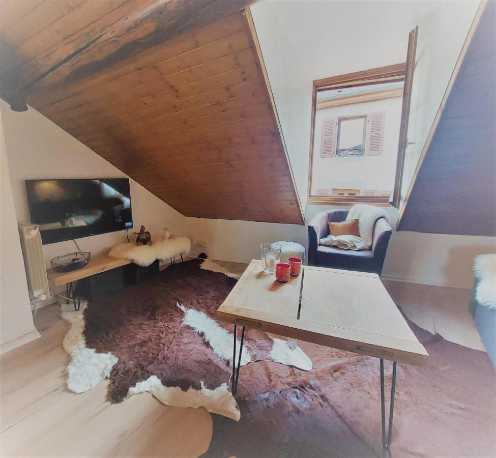 Chalet Charm In The Heart Of The Old Town Аннесі Екстер'єр фото