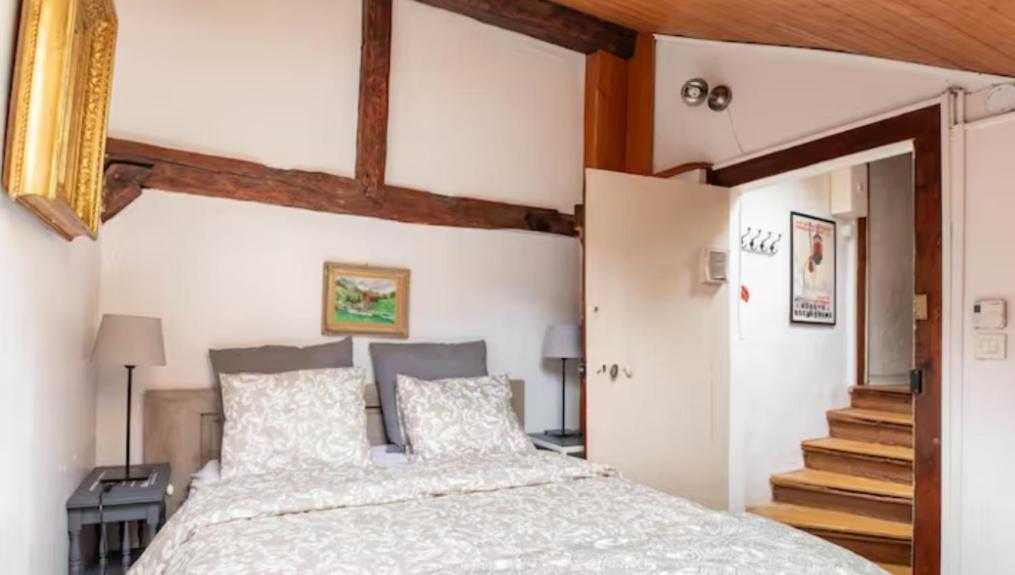 Chalet Charm In The Heart Of The Old Town Аннесі Екстер'єр фото